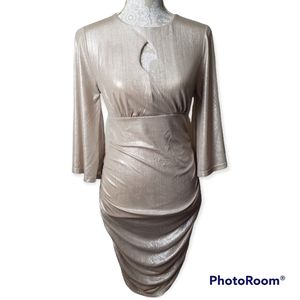 VENUS Metallic Beige Dress